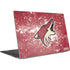 NHL Arizona Coyotes Frozen Dell XPS Skin